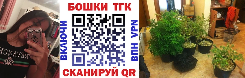 Бошки Шишки конопля  продажа наркотиков  Чайковский 